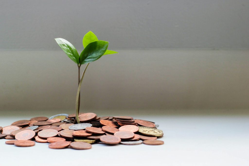 Small plant growing from pile of coins.